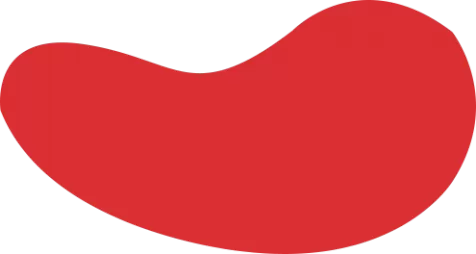 开云(kaiyun)官网 - 中国官网首页